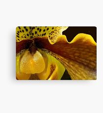 Orchid in Yellow Ochre Canvas Print