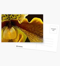 Orchid in Yellow Ochre Postcards