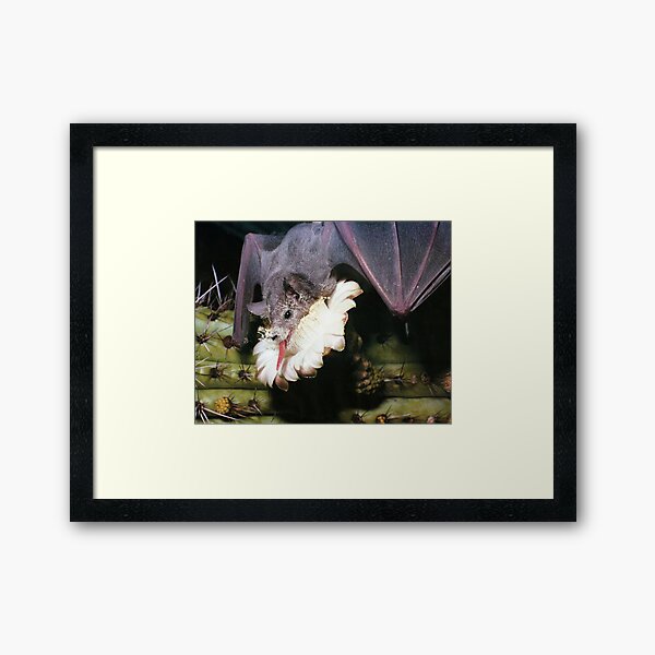 lost in the sauce Framed Art Print