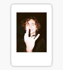 timothee chalamet polaroid sticker Sticker