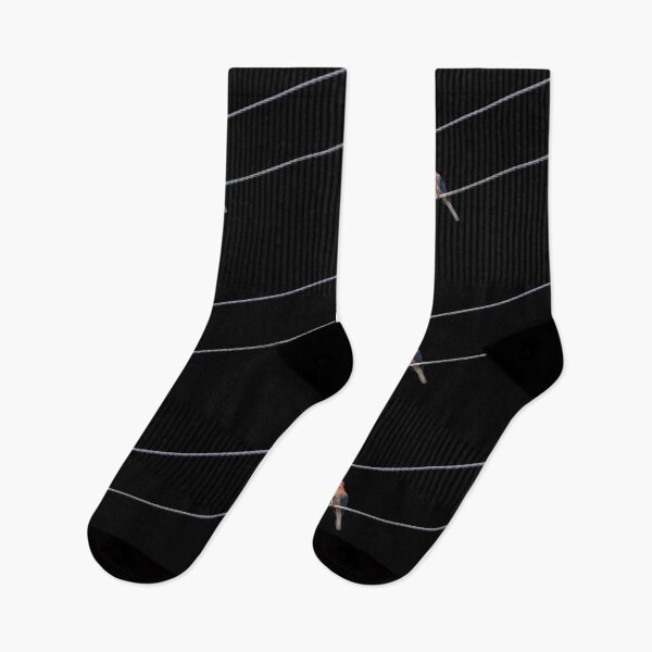 Item preview, Pigeon On The Lines On Black designed and sold by Jason Gilbert.