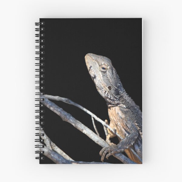 Item preview, Bearded Dragon Cutout On Black designed and sold by Jason Gilbert.