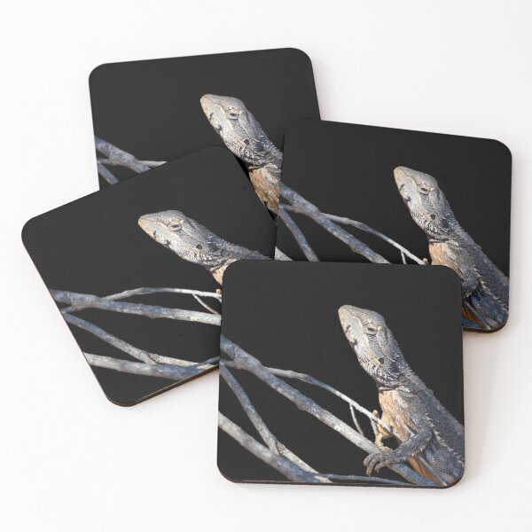 Item preview, Bearded Dragon Cutout On Black designed and sold by Jason Gilbert.