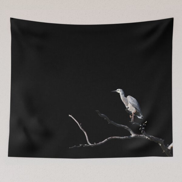 Item preview, White Faced Heron Cutout On Black designed and sold by Jason Gilbert.