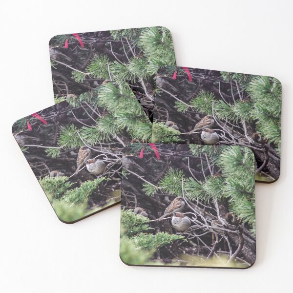 Item preview, Birds in the Bush designed and sold by SRosuphotos.