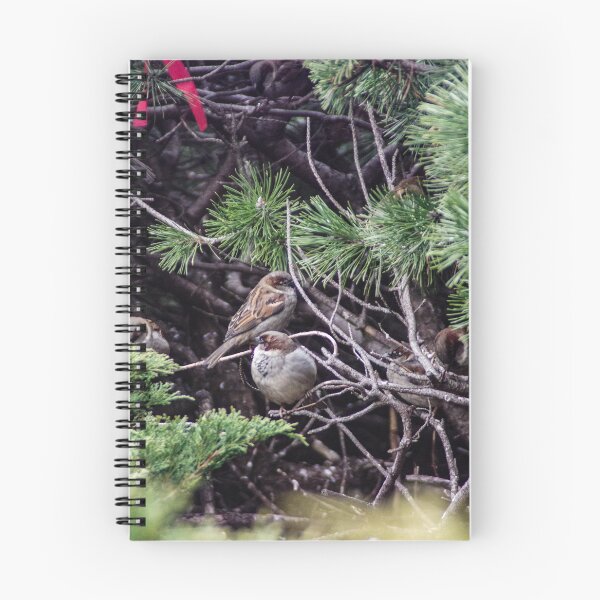 Item preview, Birds in the Bush designed and sold by SRosuphotos.
