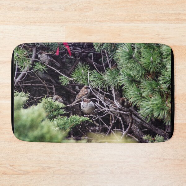 Item preview, Birds in the Bush designed and sold by SRosuphotos.