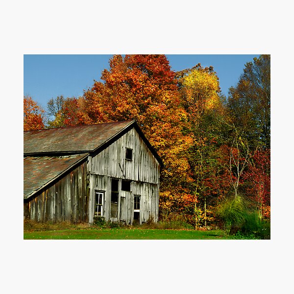 Simply Country Photographic Print