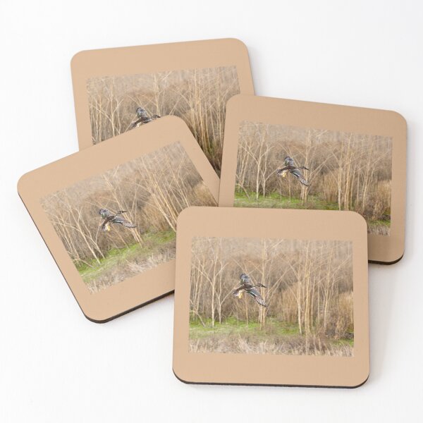 Item preview, Shoveler In Flight designed and sold by CarolM.