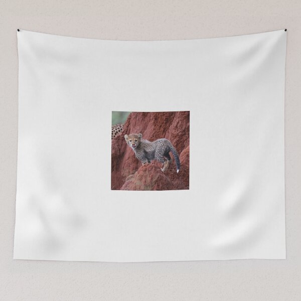 Item preview, I am Cute! designed and sold by Anthony Goldman.