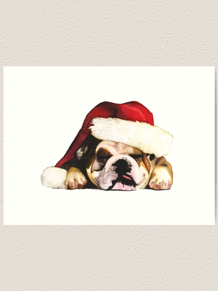 bulldog with santa hat