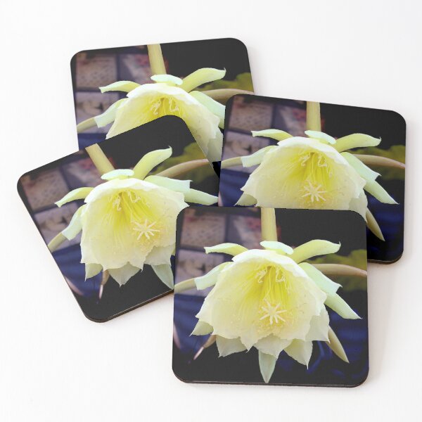 Item preview, Jungle Cactus - Front And Center designed and sold by Michael May.