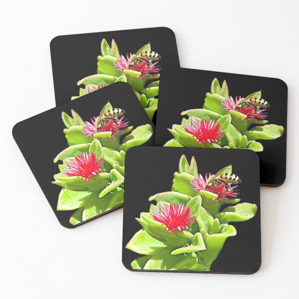 Item preview, Bee Bee In A Succulent Digital Cartoon On Black Bees designed and sold by Jason Gilbert.
