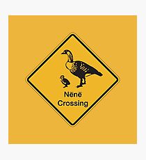 Nene Crossing, Traffic Warning Sign, Hawaii Photographic Print