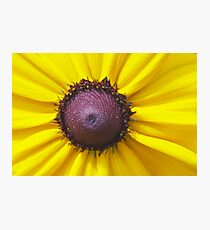 Macro flower Photographic Print