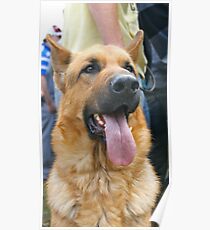 GSD Poster