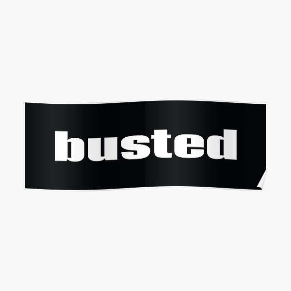 Busted Words Millennials Use Poster