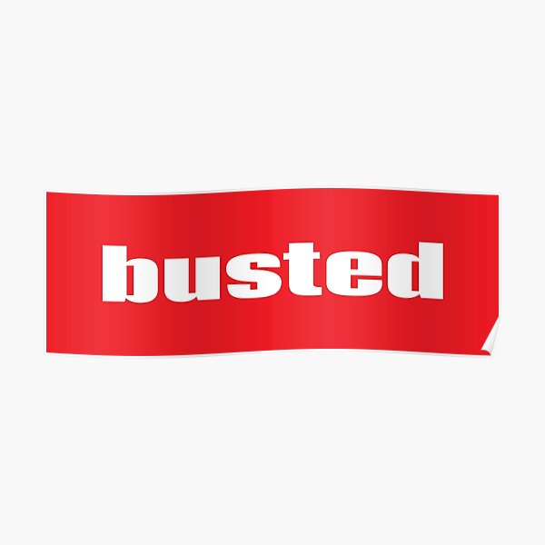 Busted Words Millennials Use Poster