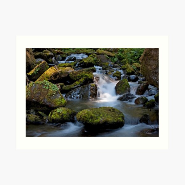 Below the Falls Art Print