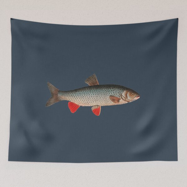 Item preview, Vintage fish illustration - Cyprinus Idus designed and sold by Flamin' Galah.