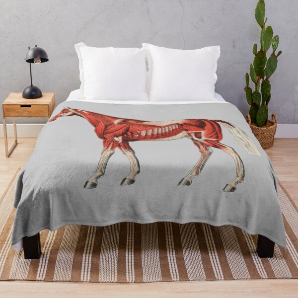 Item preview, Horse Skeleton Muscles designed and sold by Flamin' Galah.