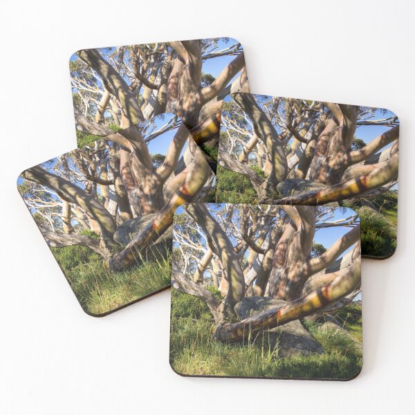 Item preview, Snow Gum in Summer, Charlotte Pass, NSW, Australia designed and sold by ChristineJayne.
