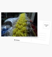 tell me what you are Postcards