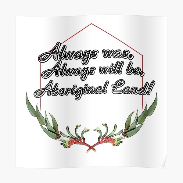 Red kangaroo paw Poster