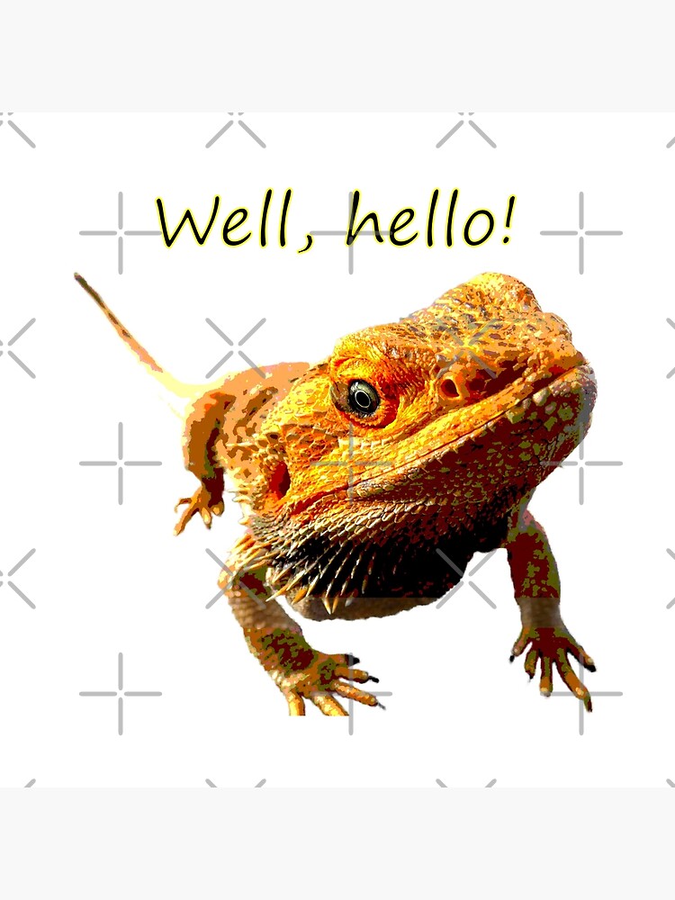 Bearded Dragon Says Hello by snibbo71