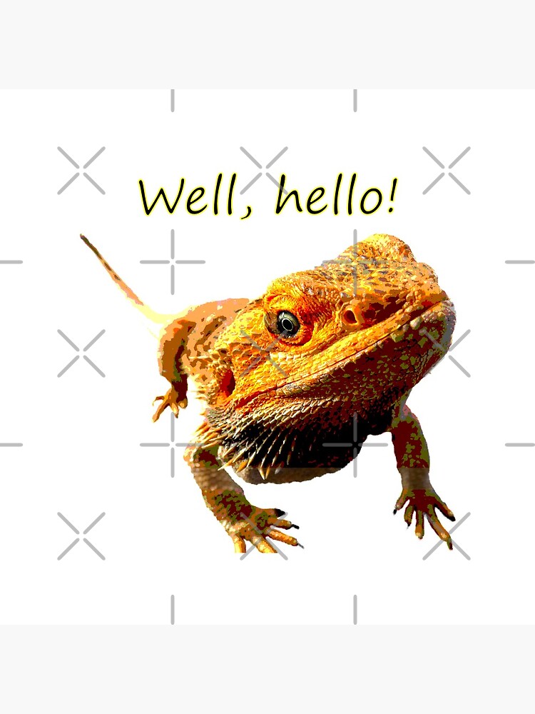 Bearded Dragon Says Hello by snibbo71