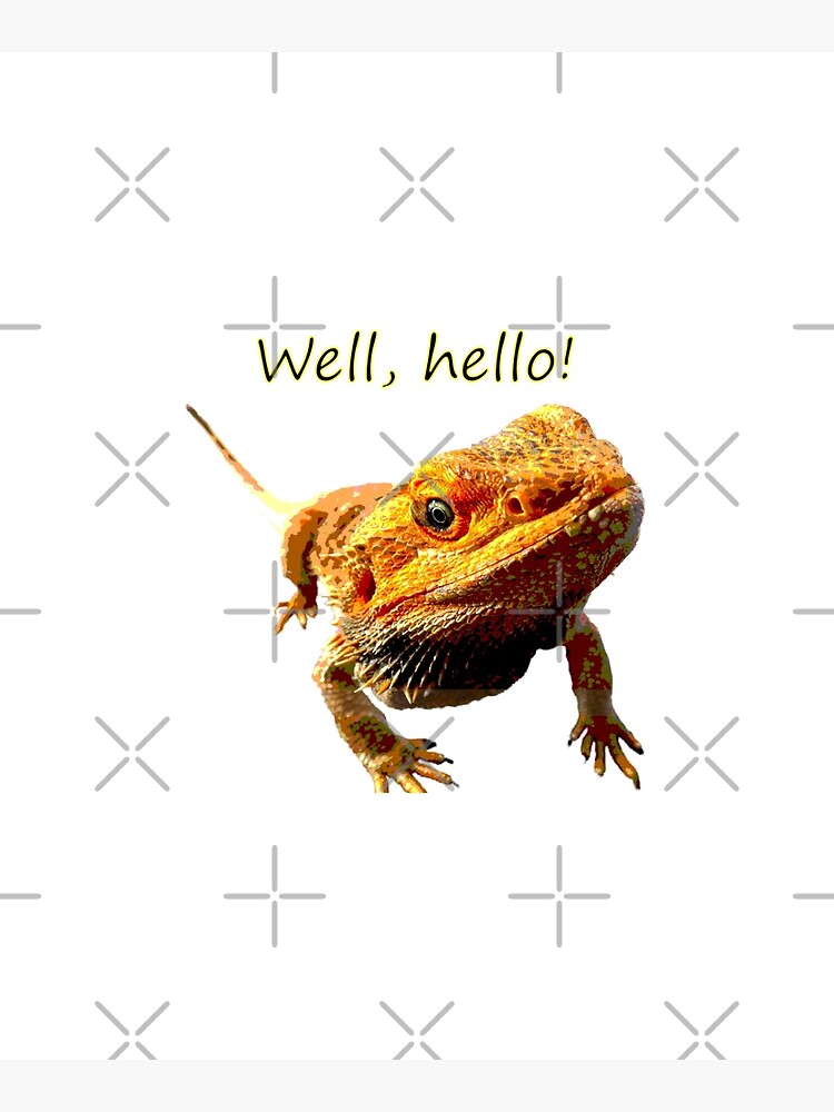 Bearded Dragon Says Hello by snibbo71