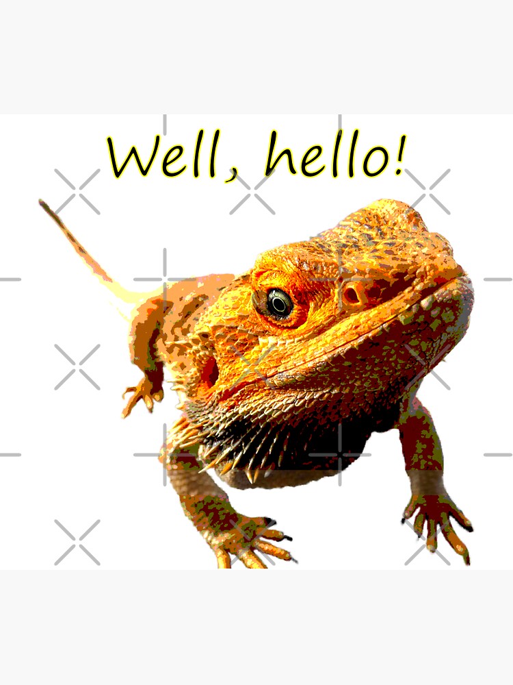 Bearded Dragon Says Hello by snibbo71