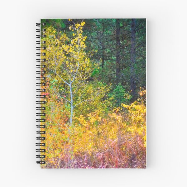 Item preview, Ashton Idaho - Season Of Color (g) designed and sold by IMAGETAKERS.