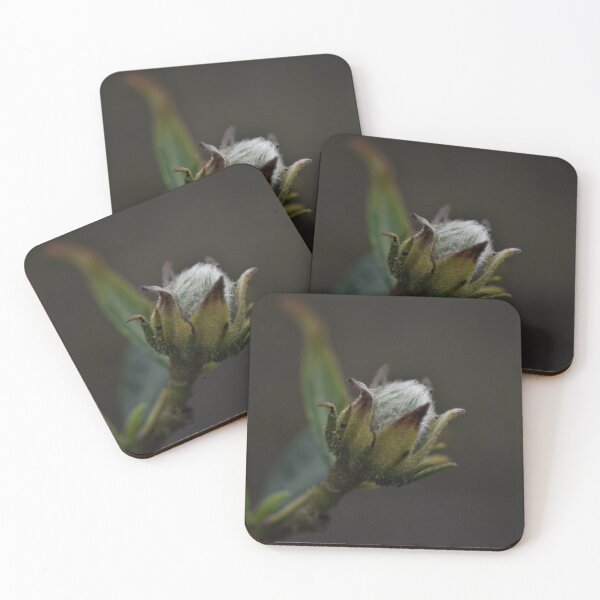 Item preview, Flower  designed and sold by cosmicpower.