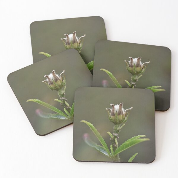 Item preview, Flower bud  designed and sold by cosmicpower.