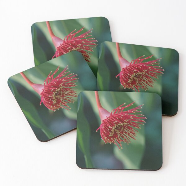 Item preview, Red Flowering Gum designed and sold by Siene Browne.