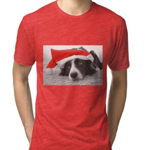 border collie christmas shirt