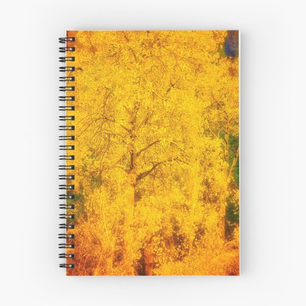 Item preview, Ashton Idaho - Season Of Color (j) designed and sold by IMAGETAKERS.
