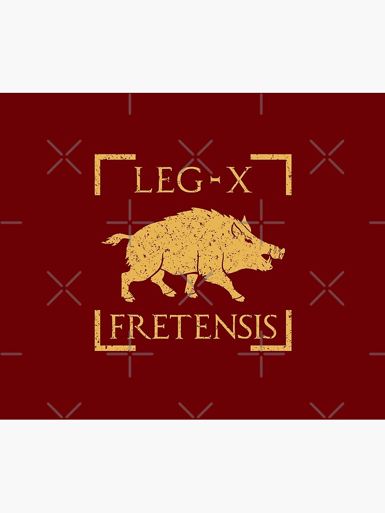 Disover Legio X Fretensis Boar Emblem Roman Legion Tapestry