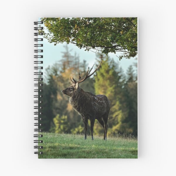 Item preview, Sika Deer, Woburn designed and sold by JMChown.