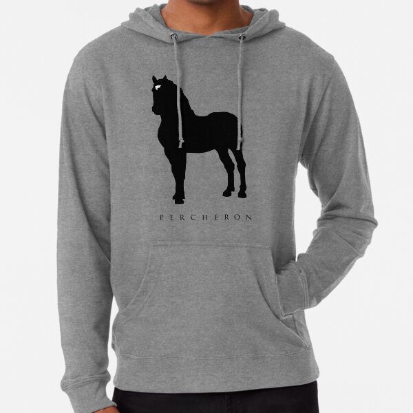 Sweat chevaux humour idee cadeau cheval