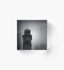 Salts Birds Acrylic Block