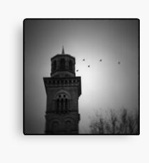 Salts Birds Canvas Print