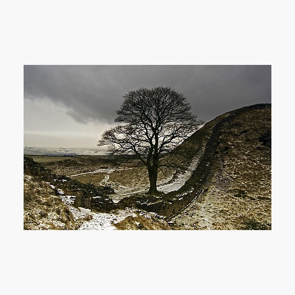 Item preview, Sycamore Gap at Hadrians Wall designed and sold by darrenturner.