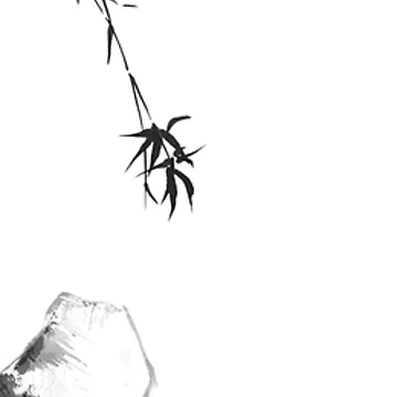 Artwork thumbnail, Bamboo - Spring - bw by Birgit Moldenhauer