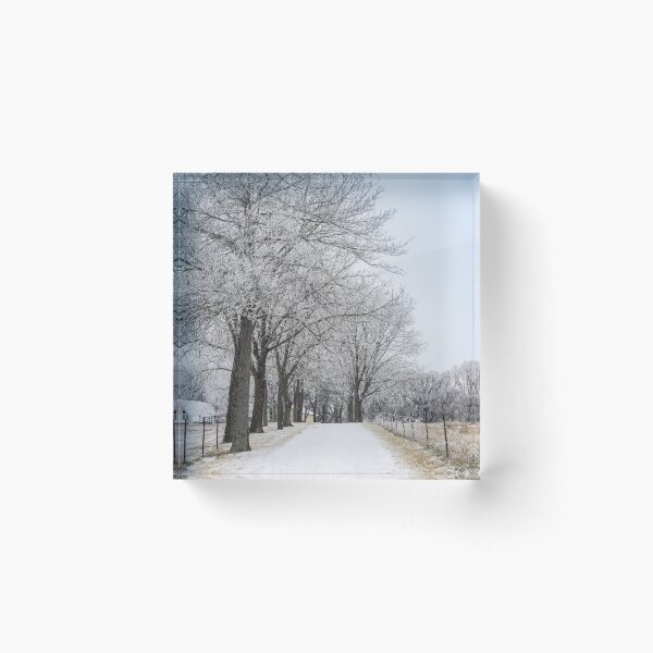 Item preview, Winter Drive Home designed and sold by mljdwhite.