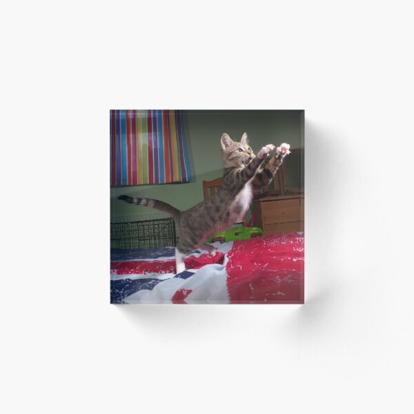Jumping cat Acrylic Block