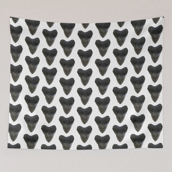 Item preview, Sharks Tooth Megalodon Fossil designed and sold by baybranded.