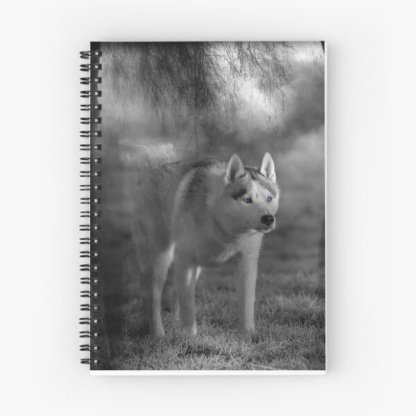 Item preview, Husky  and Waterfall,  designed and sold by peterwyatt.
