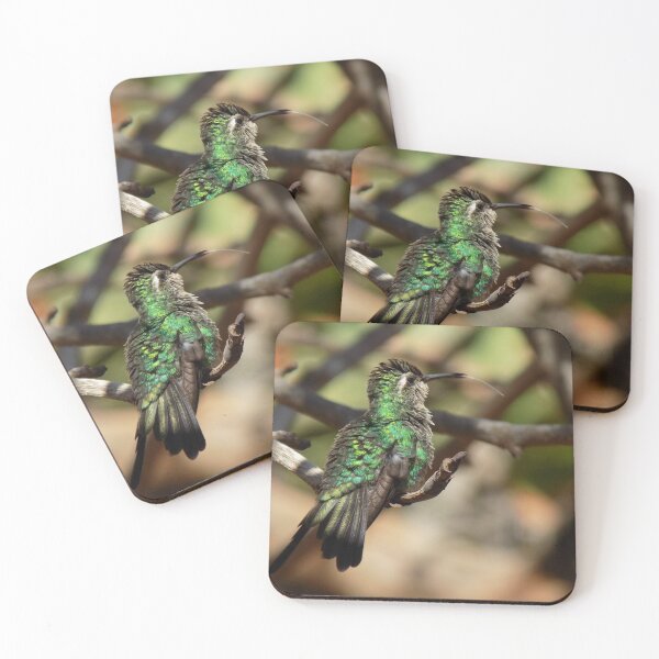 Item preview, I Love Humming-bird Simply Beautiful Animal Bird Picture designed and sold by Merigold.